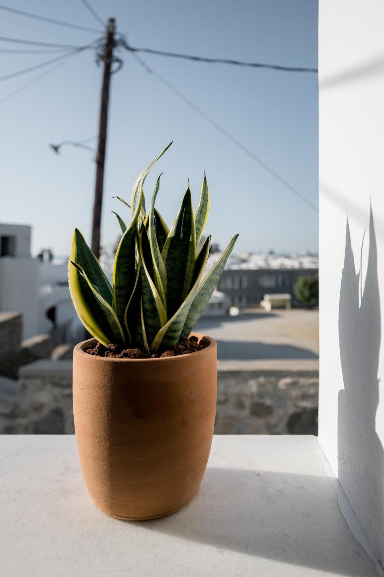 37 2 Heaven Apartment Naxos City Luaran gambar